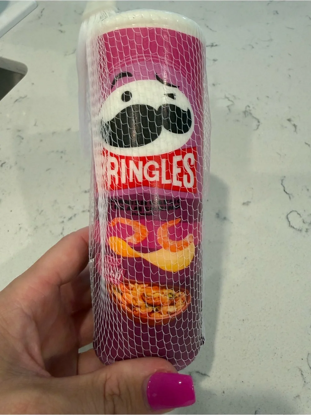 Pringles Spanish Garlic Cajun Shrimp Squishy